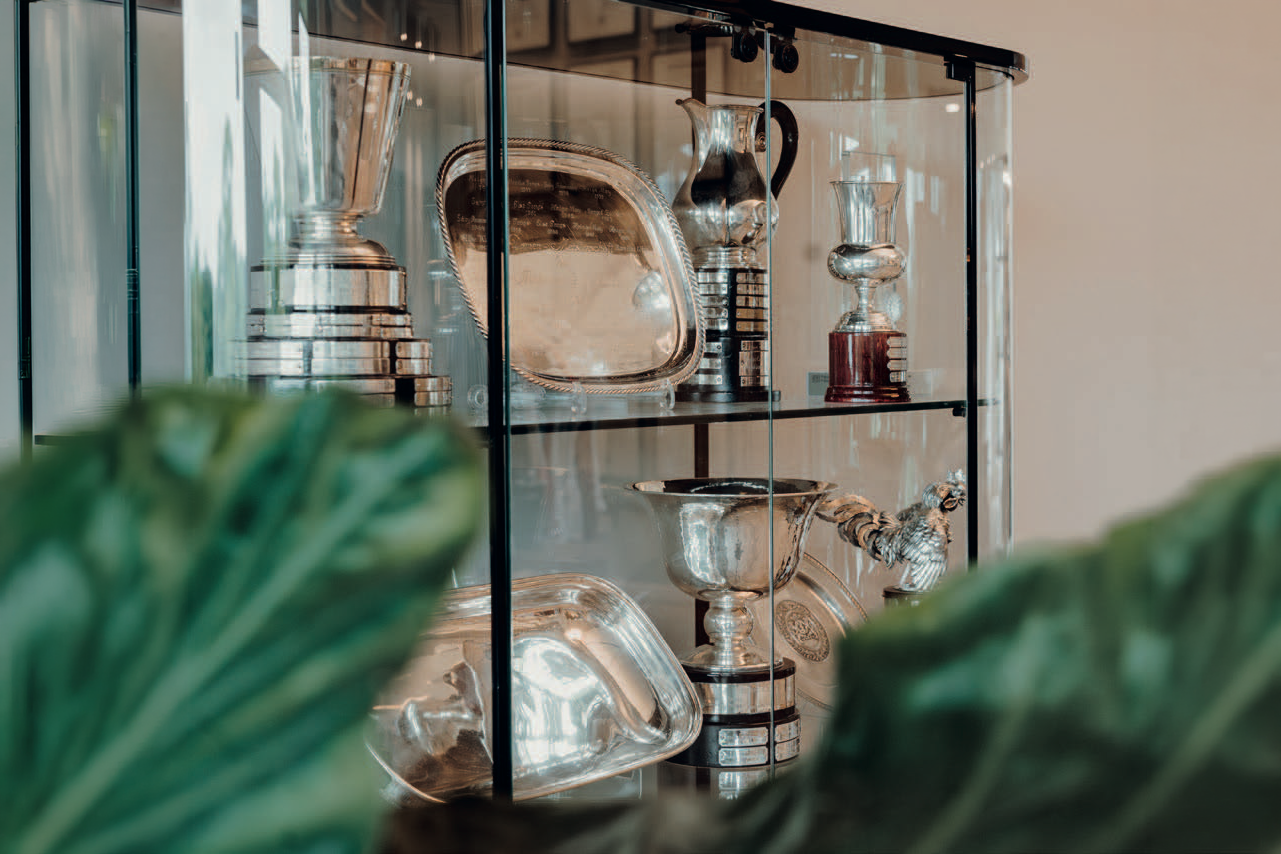 Glasvitrine mit silbernen Pokalen und Trophäen im Clubhaus des Aachener Golf-Club, Blick durch Pflanzenblätter im Vordergrund