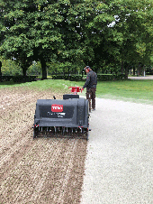 Platzpflege im Frühjahr