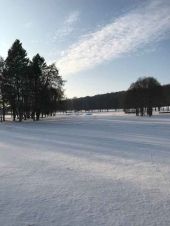 AGC vom 23.12.2025 - 04.01.2026